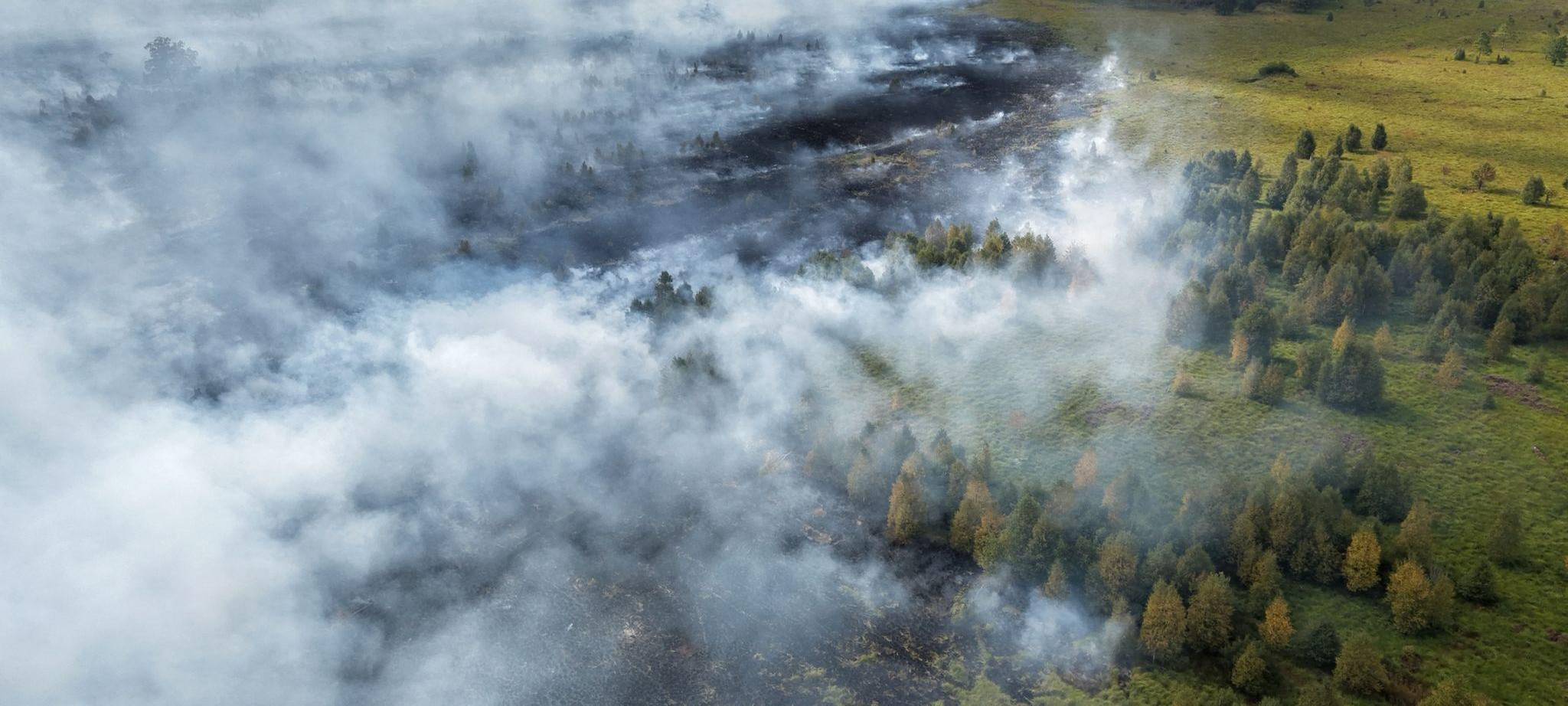 Waldbrand im Hohen Venn