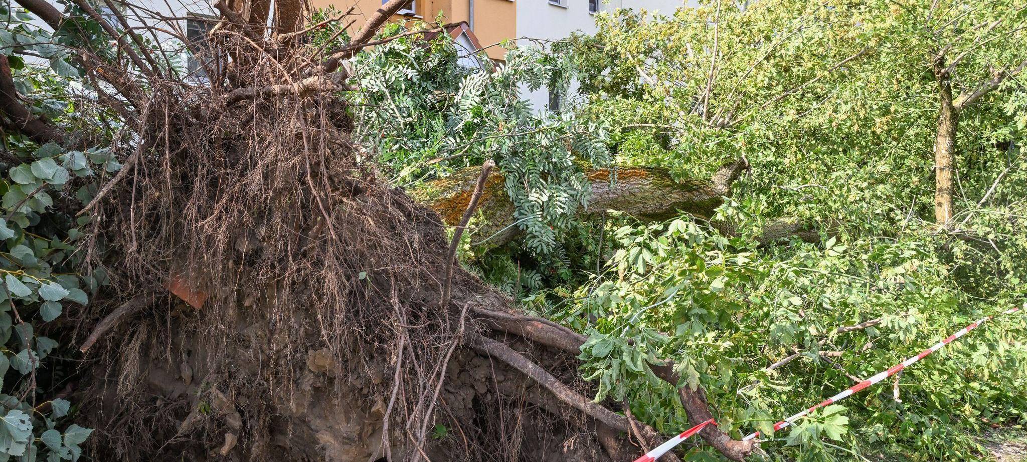 DWD bestätigt Tornado in Fürstenwalde in Brandenburg