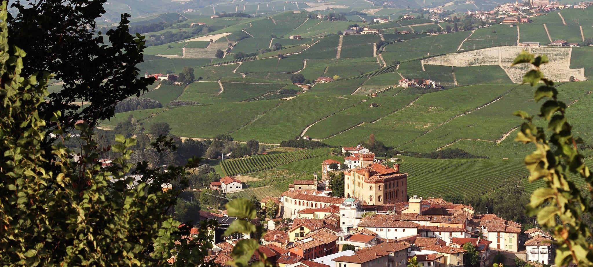 Blick auf Barolo