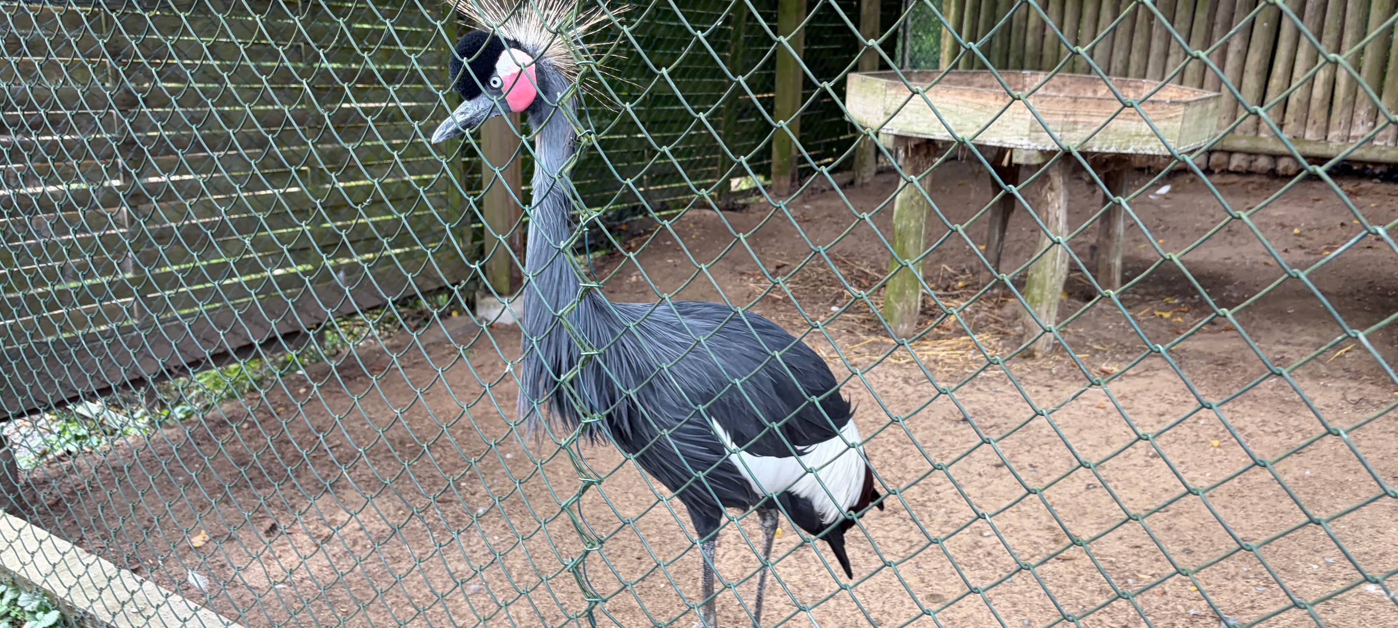 Erlebniswochen - Ein Abend im Affen- und Vogelpark
