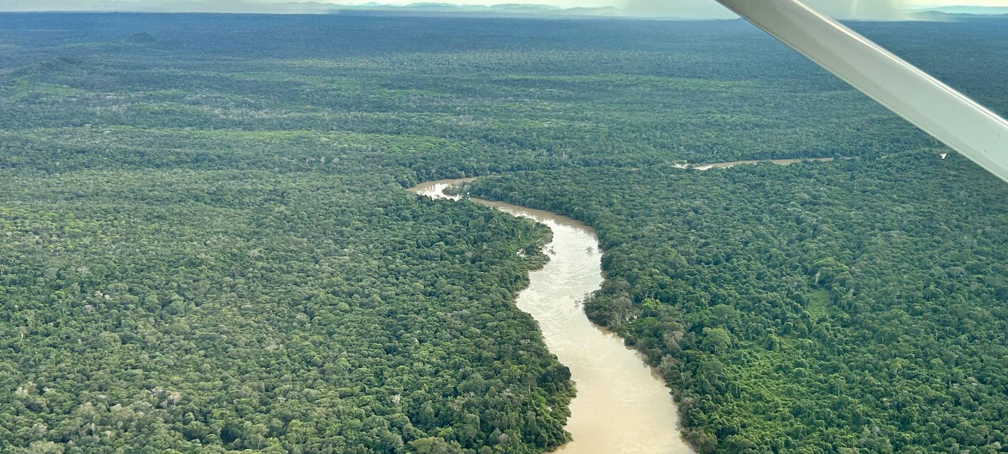 Illegaler Goldabbau im Amazonas
