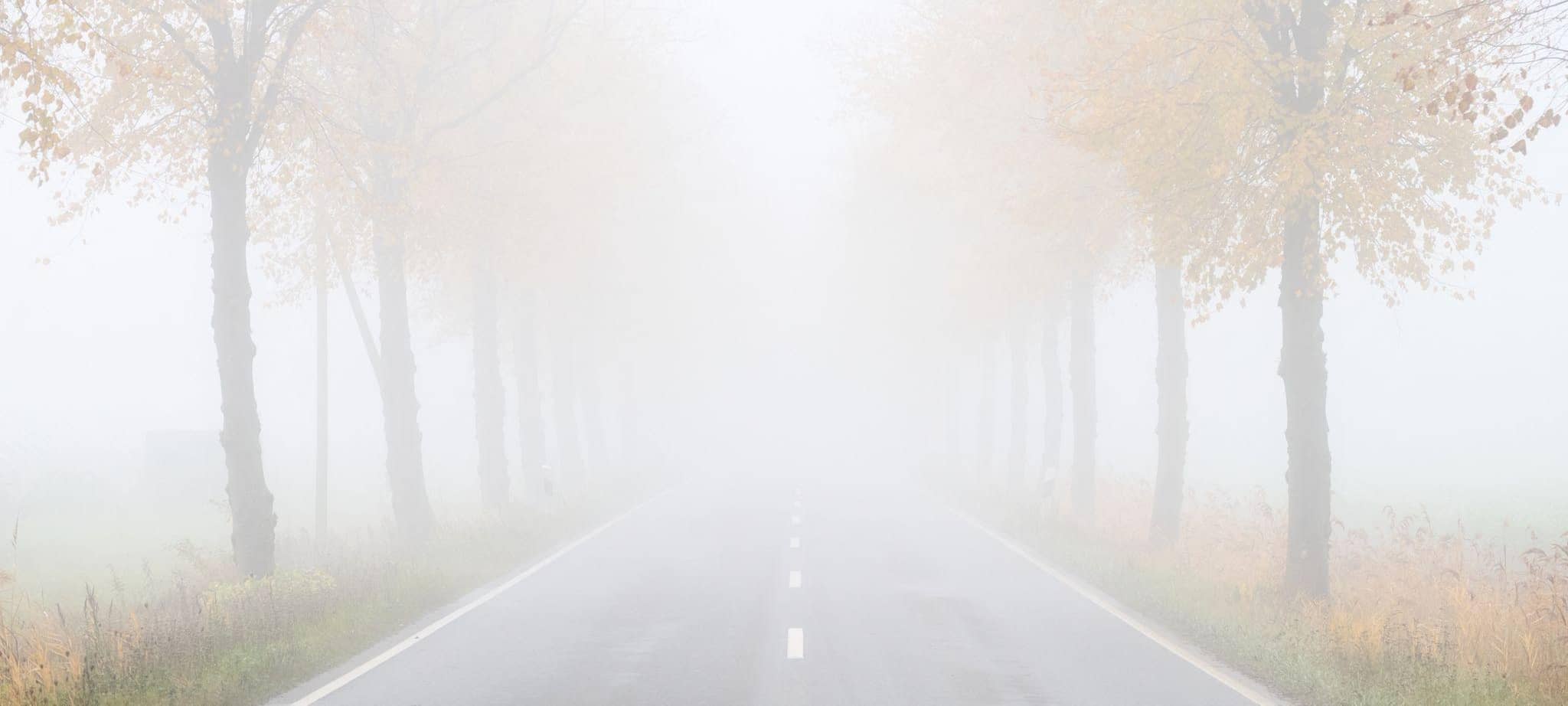 Nebel in Niedersachsen