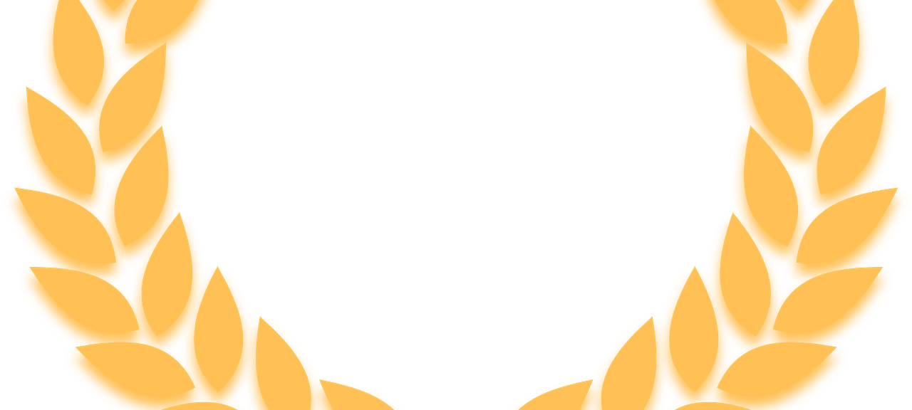 "Bergischer Löwe" wird zum Denkmal ernannt