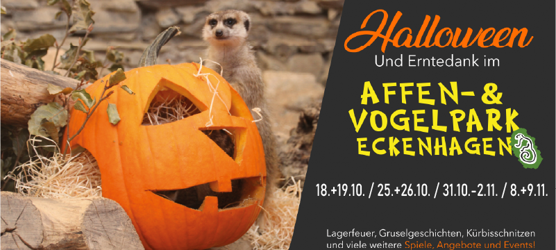 Ausflugs-Tipps für die Herbstferien